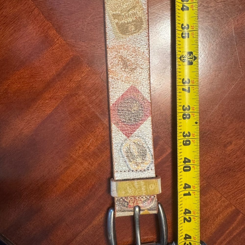Fossil Multicolor Belt with Silver Buckle